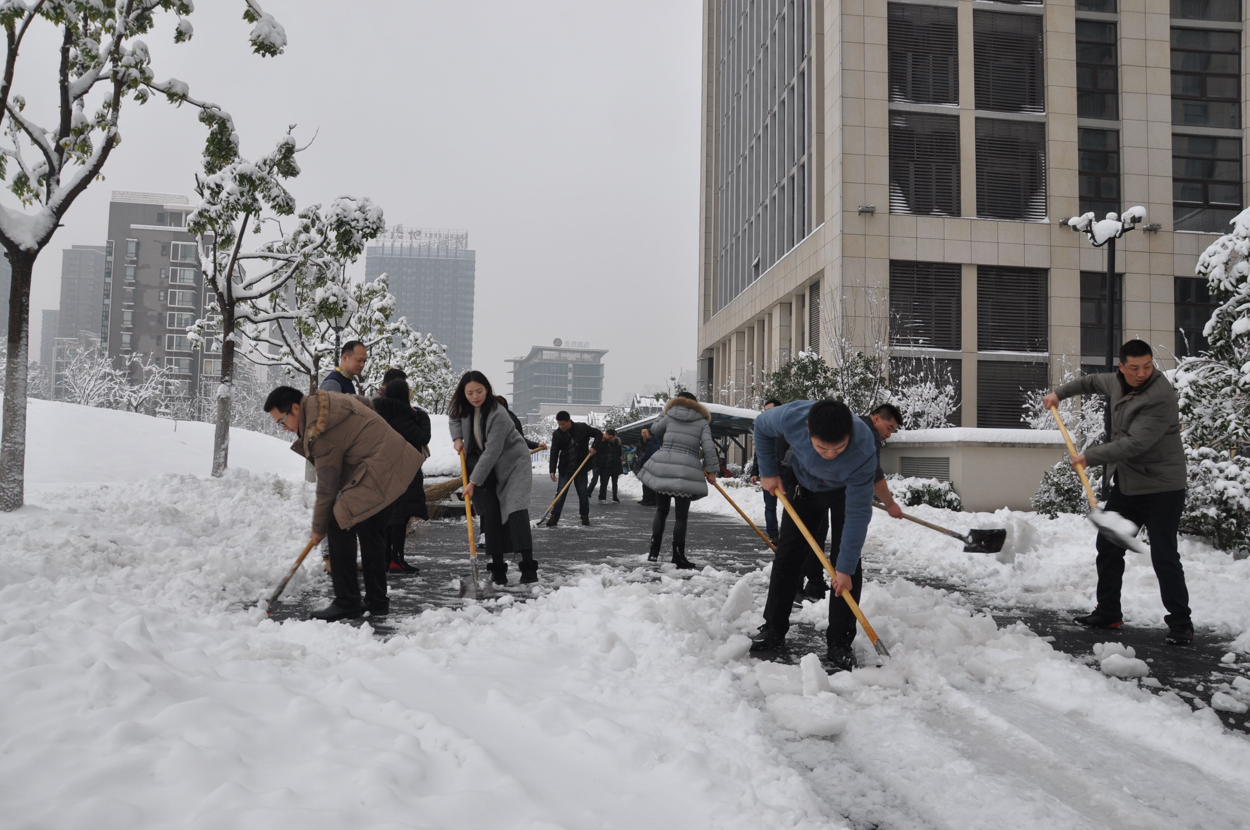 新宝会(中国区)有限公司-集团