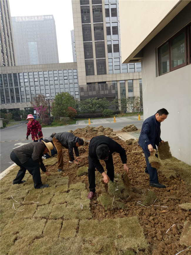 新宝会(中国区)有限公司-集团