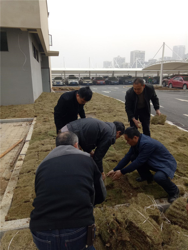 新宝会(中国区)有限公司-集团