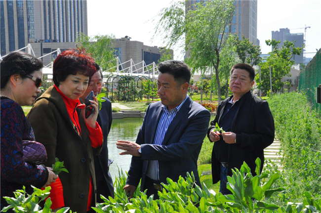 新宝会(中国区)有限公司-集团