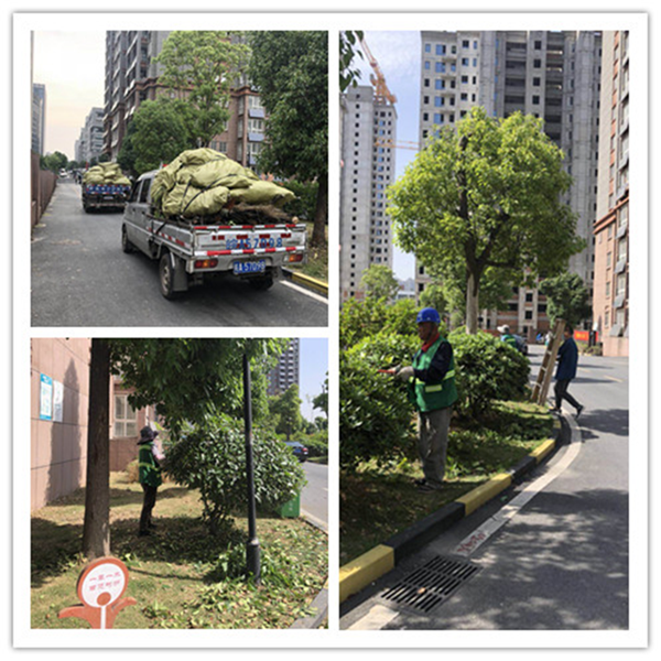 新宝会(中国区)有限公司-集团