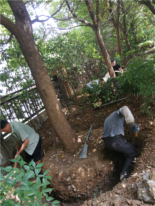 新宝会(中国区)有限公司-集团