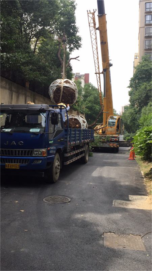 新宝会(中国区)有限公司-集团