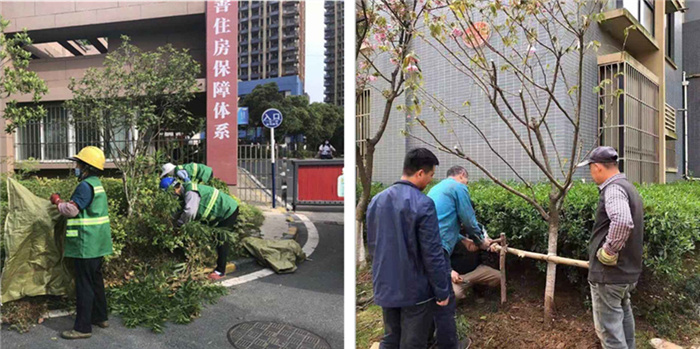 新宝会(中国区)有限公司-集团