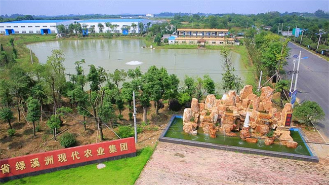 新宝会(中国区)有限公司-集团