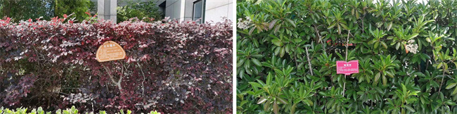 新宝会(中国区)有限公司-集团