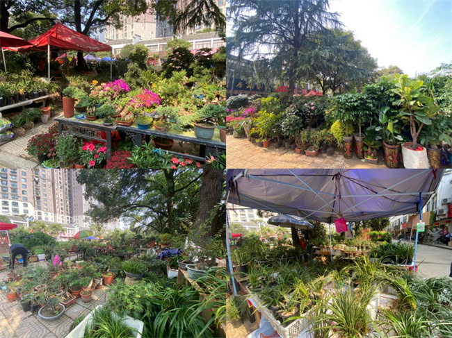 新宝会(中国区)有限公司-集团